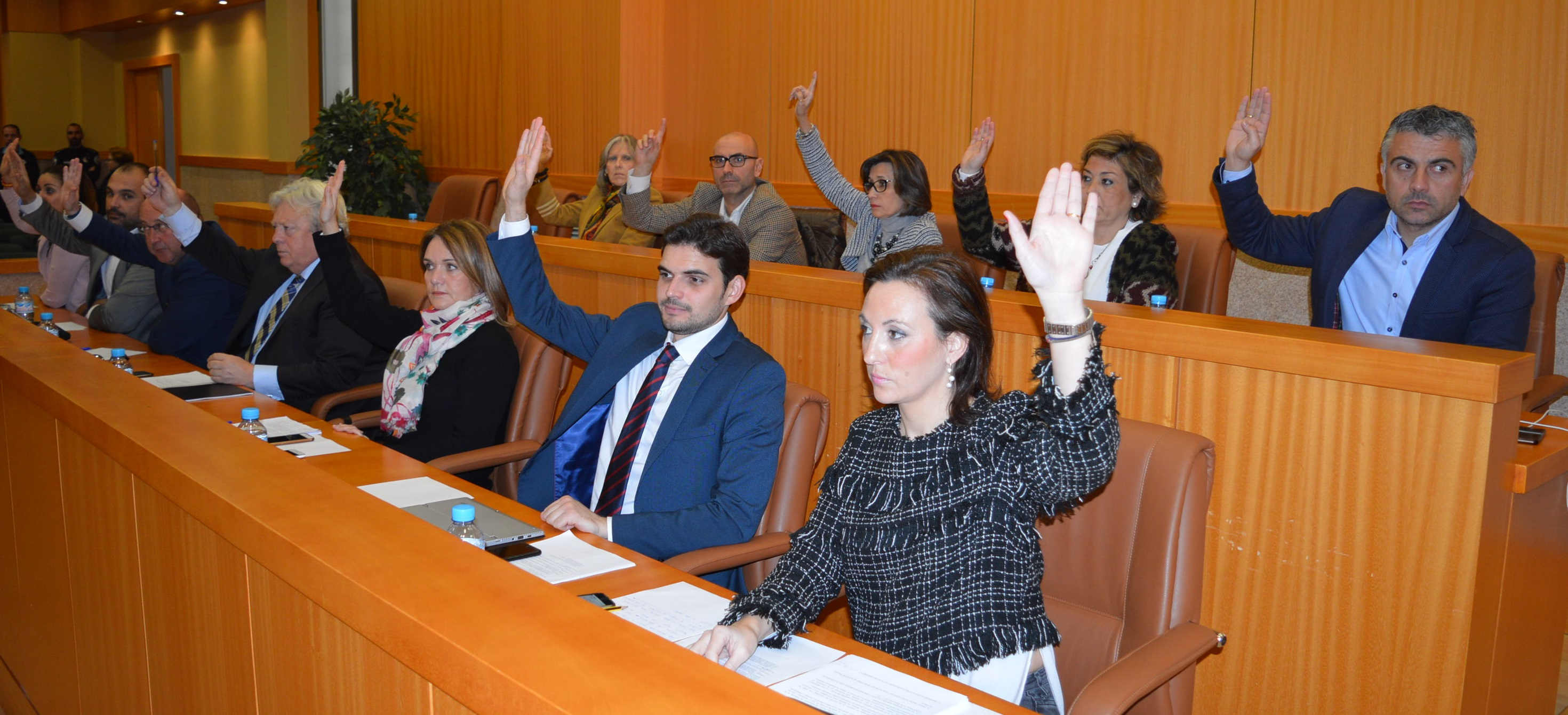 Pleno ordinario del mes de enero