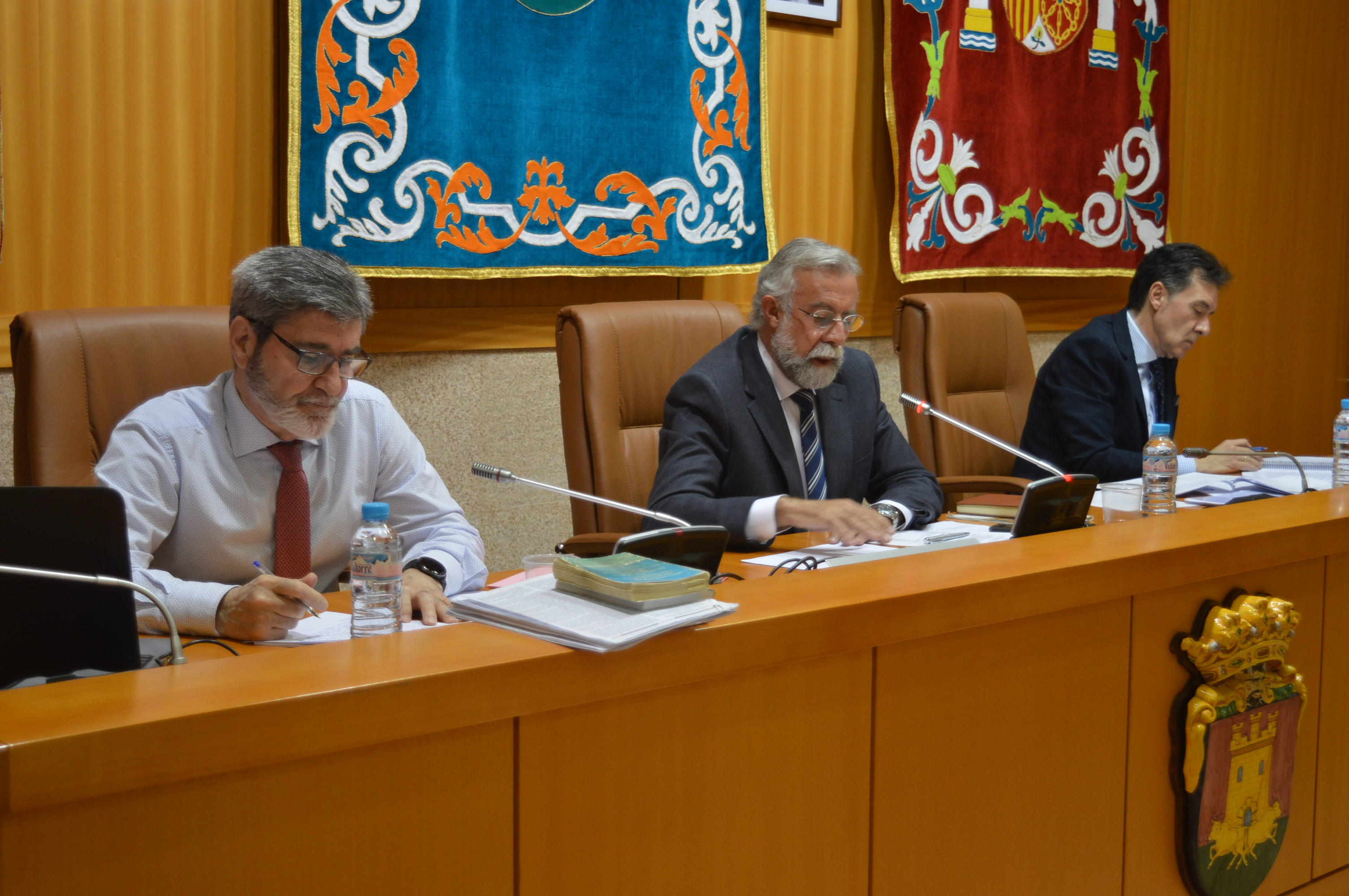 Pleno ordinario del mes de febrero