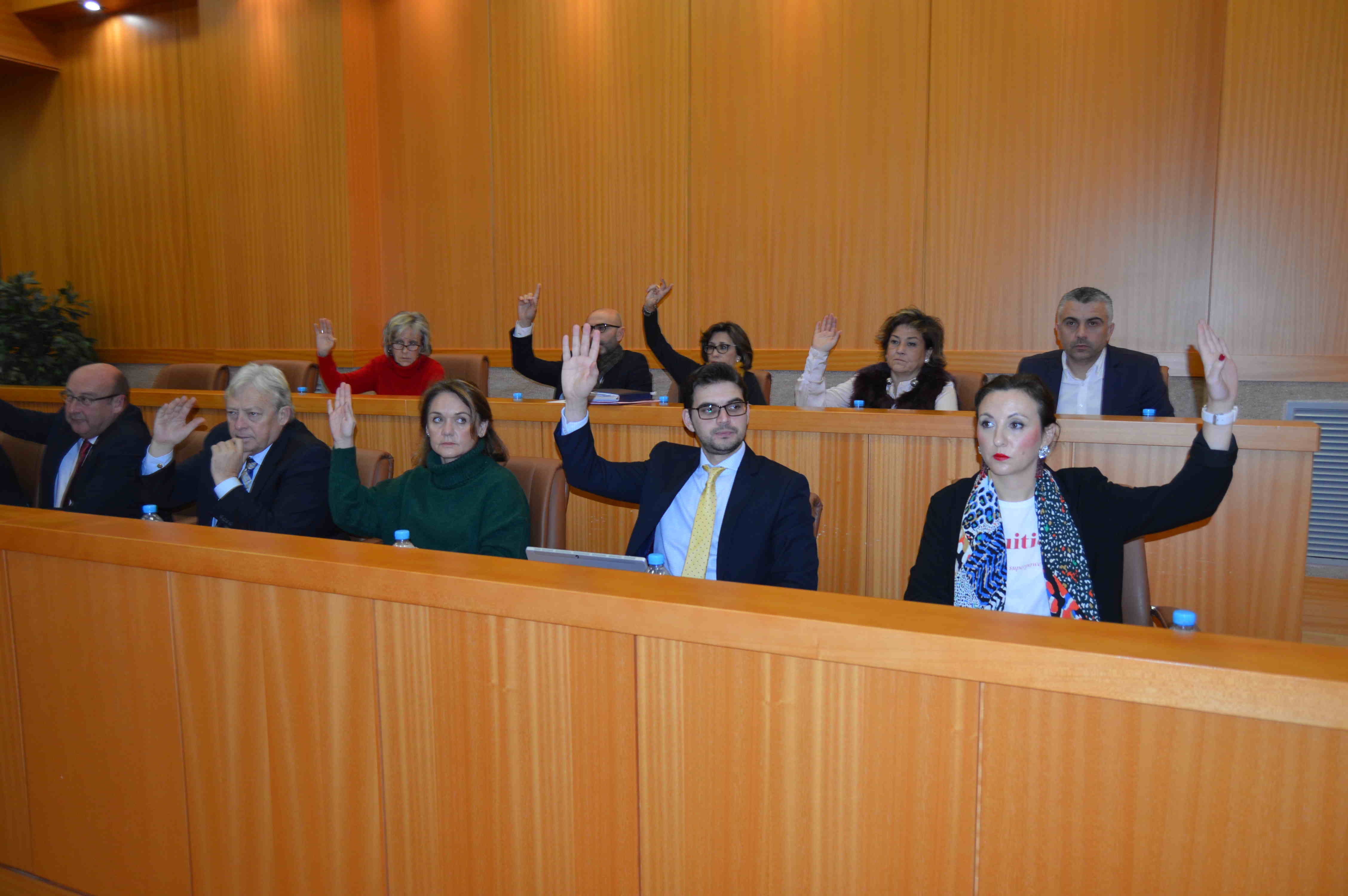 El GMPP en el pleno del mes de diciembre