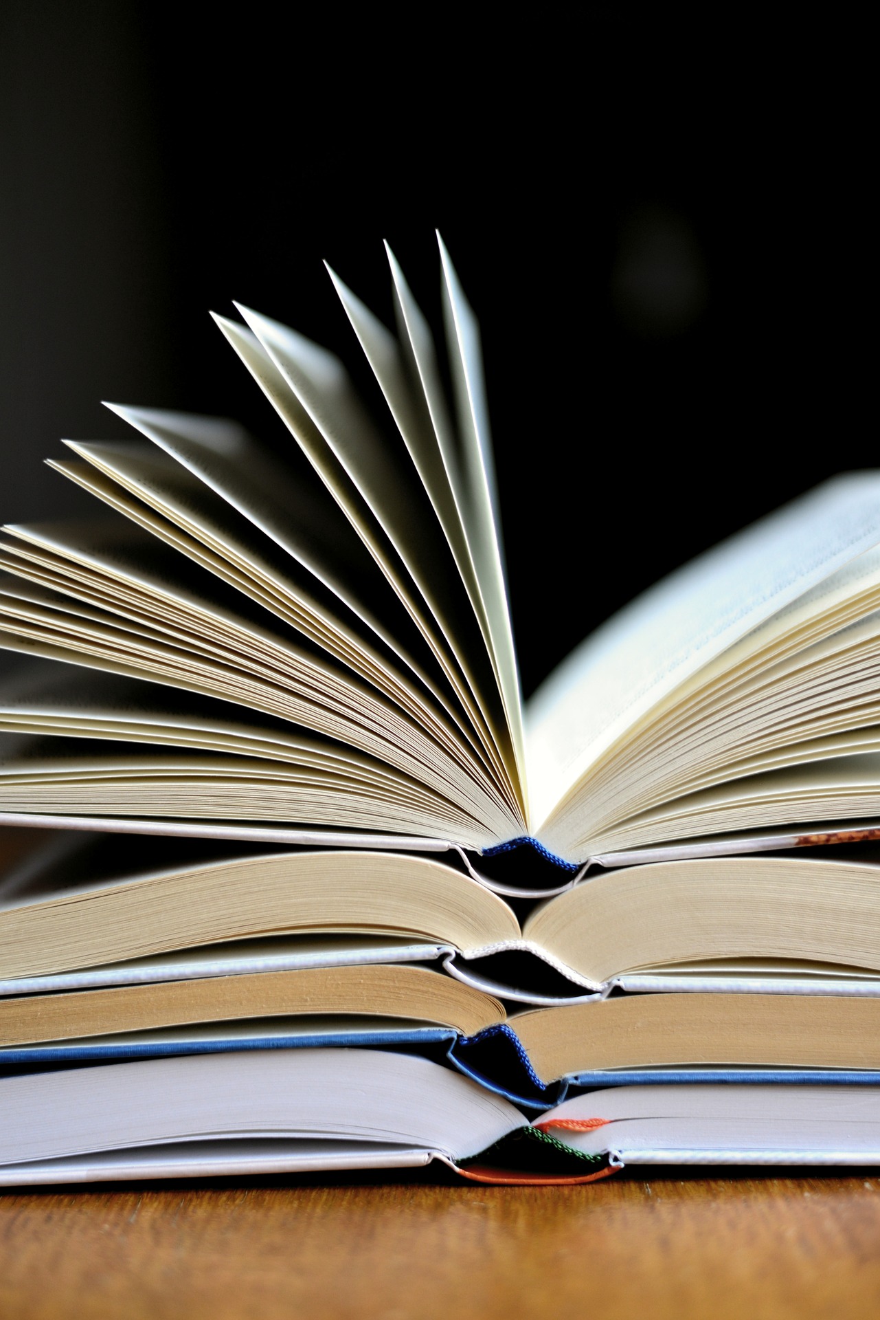 Ayudas libros escolares Ayuntamiento de Talavera 2021